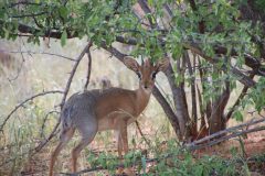 IMG_4741-scaled