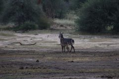 IMG_4922-scaled