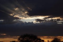 IMG_4958-scaled
