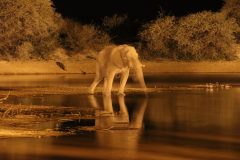 IMG_4994-scaled