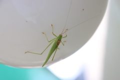IMG_5176-scaled