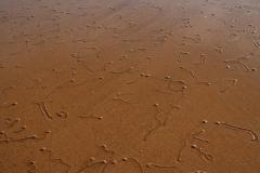 IMG_8218-1024x682