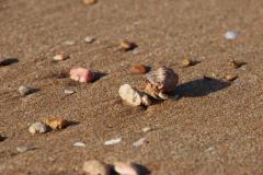 IMG_8255-1024x682