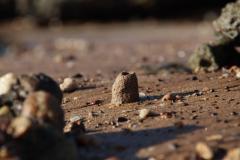 IMG_8285-1024x682
