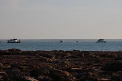 IMG_8288-1024x682