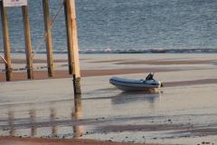 IMG_8374-1024x682