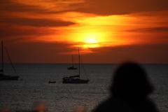 IMG_8439-1024x682