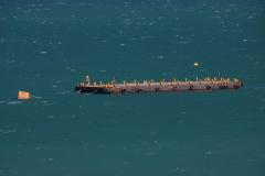 IMG_8505-1024x682