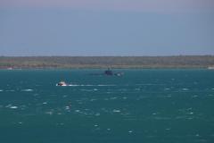 IMG_8513-1024x682