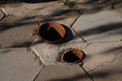IMG_0298-scaled