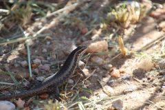 IMG_0346-scaled