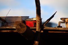 IMG_5400-scaled