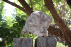 IMG_5467-scaled