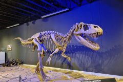 20230615_161845-scaled