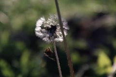 IMG_4862-scaled
