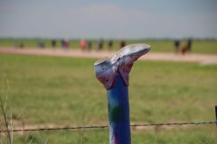 IMG_5392-scaled
