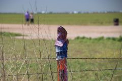 IMG_5393-scaled