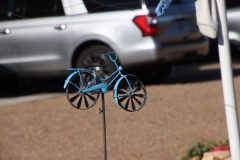 IMG_5522-scaled