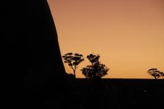IMG_2570-1024x682