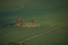 IMG_2687-1024x682