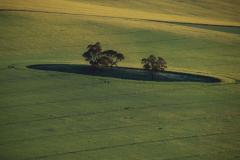 IMG_2689-1024x682