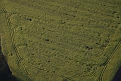 IMG_2725-1024x682
