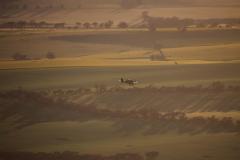 IMG_2732-1024x682