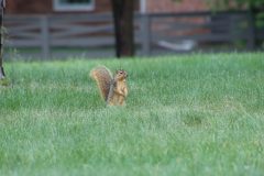 IMG_1738-scaled