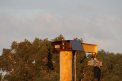 IMG_1608