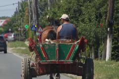IMG_5240