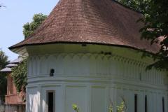IMG_5250