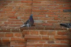 IMG_5314