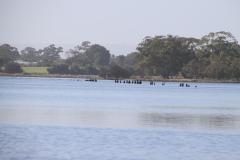 IMG_5976