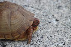 IMG_3291-scaled
