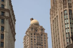 IMG_0936-2-scaled
