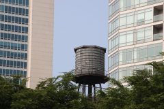 IMG_0986-2-scaled