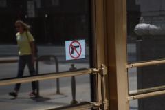 IMG_0545-2-1