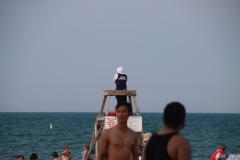 IMG_0639-2