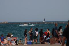 IMG_0664-2