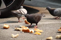 IMG_0724-2-scaled