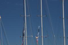 IMG_8704-1024x1536