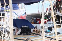 IMG_8740-1024x682