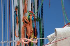 IMG_8748-1024x682