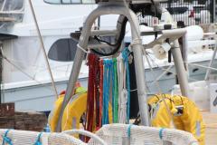 IMG_8750-1024x682