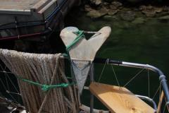 IMG_8775-1024x682