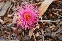 2020-02-10-09.31.32-1