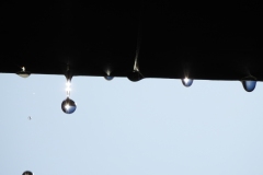 DSCN6832