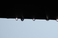 DSCN6833