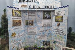 20230610_111331-scaled