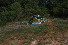 IMG_3087-1-scaled